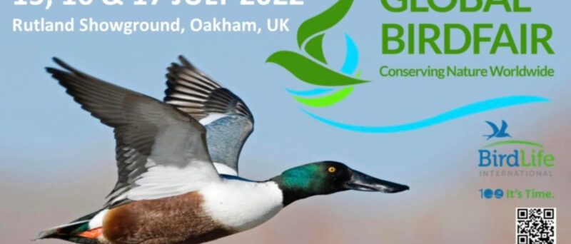 Die Global Birdfair –<br>Die weltweit größte Birding Messe
