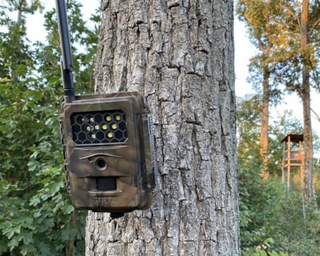 Seissiger Spezial-Kamera "Weißblitz" am Baum