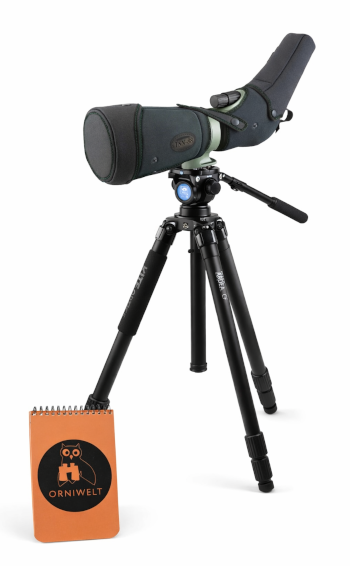 Kowa - TSN 88-Prominar - Paket, Winkeleinblick