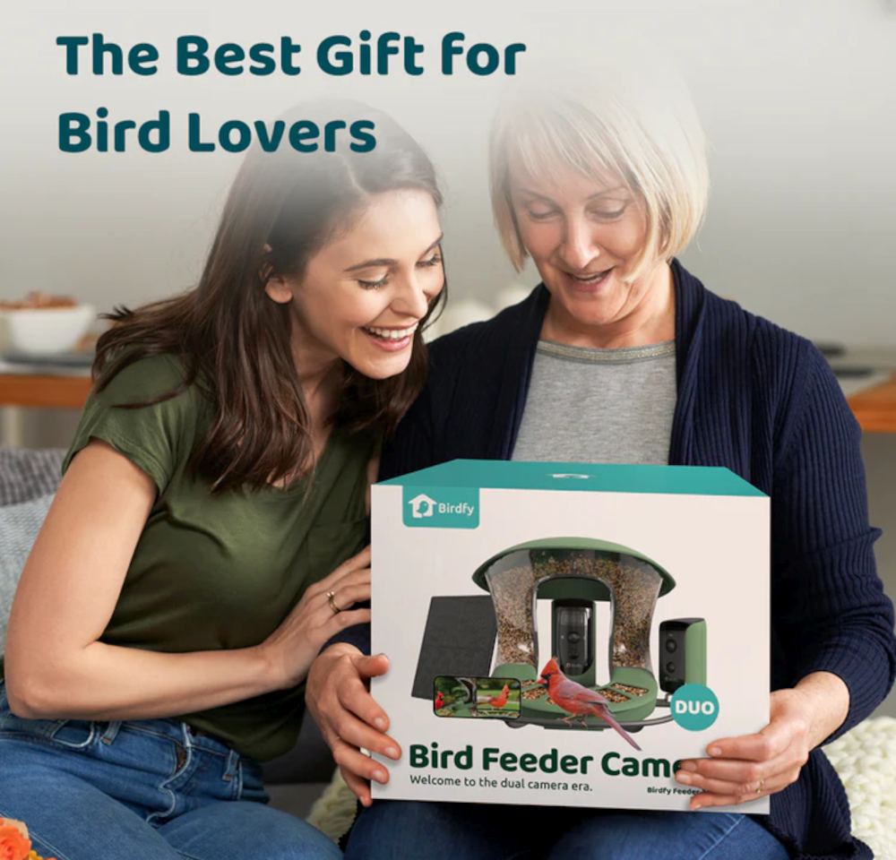 Birdfy Feeder 2 bestes Geschenk fuer Vogelliebhaber