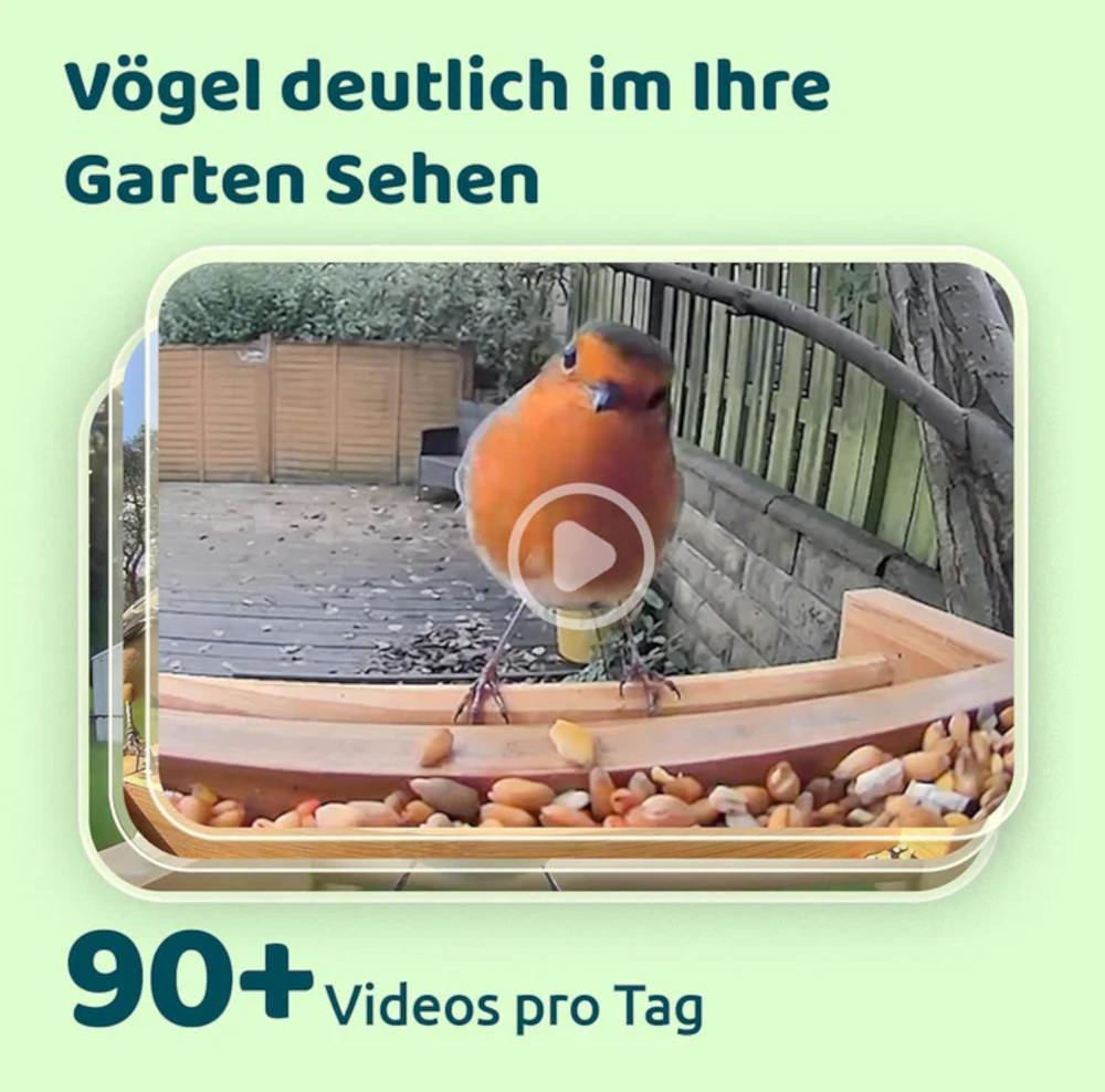 saubere Videoaufnahmen durch integrierte Kamera im Bamboo Feeder