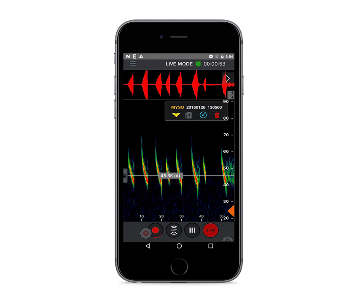 Fledermausdetektor Echo Meter Touch 2 PRO Sonagramm-Anzeige