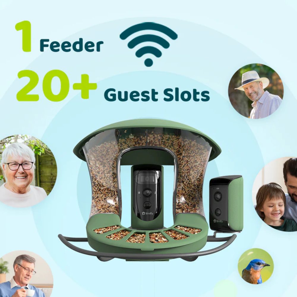 1 Feeder & 20 Gastzugaenge beim Birdfy Feeder 2 Duo