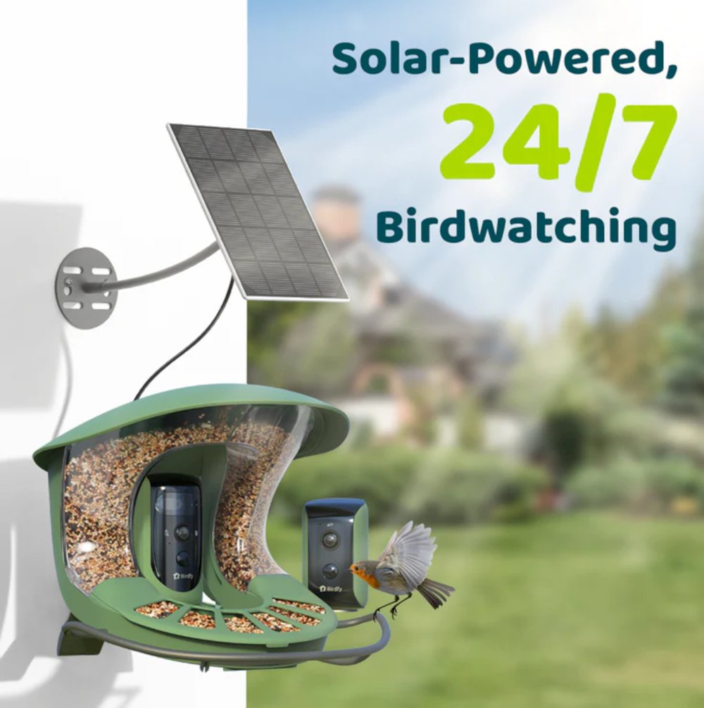 Birdfy Feeder 2 Duo mit Solarpanel zur Energieversorgung