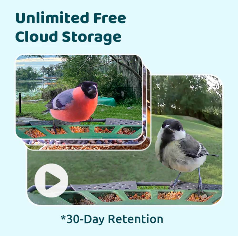 Unlimitierter, kostenloser Cloud-Speicher fuer Bewegungsclips beim Birdfy Feeder 2