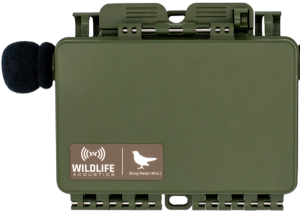 Wildlife Acoustics - Song Meter Mini 2 Akustik Recorder, AA Wildlife Acoustics - Song Meter Mini 2 Akustik Recorder, AA