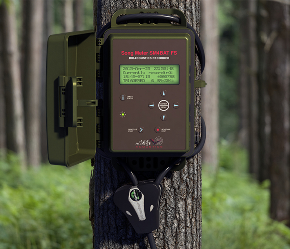 2-song-meter-sm4bat-fs Wildlife Acoustics Song Meter SM4BAT FS, ULTRASONIC RECORDER, Fledermausdetektor