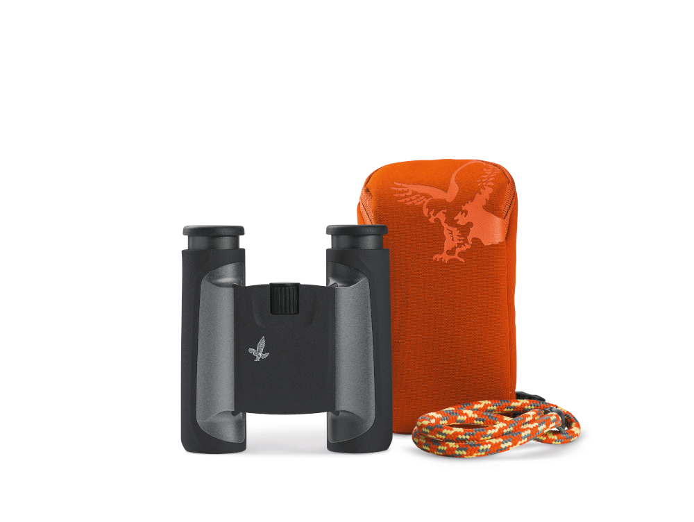 Swarovski Optik Binocular anthrazit, Mountain CL POCKET 8x25