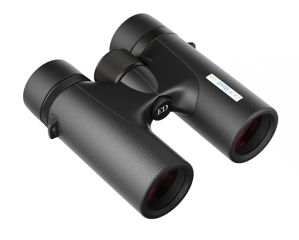 Birdlife Nuthatch 8x32 - liegend