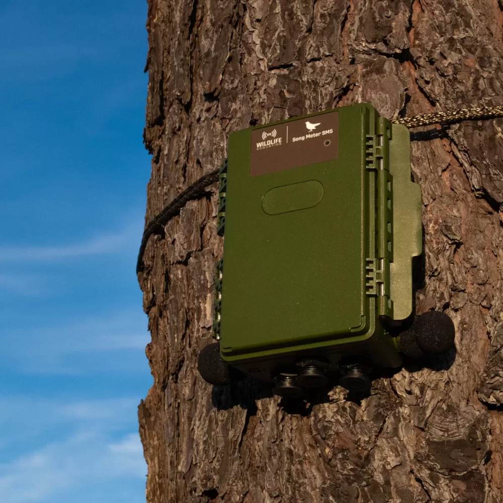 Wildlife Acoustics Song Meter SM5 Akustik Recorder - Outdoor