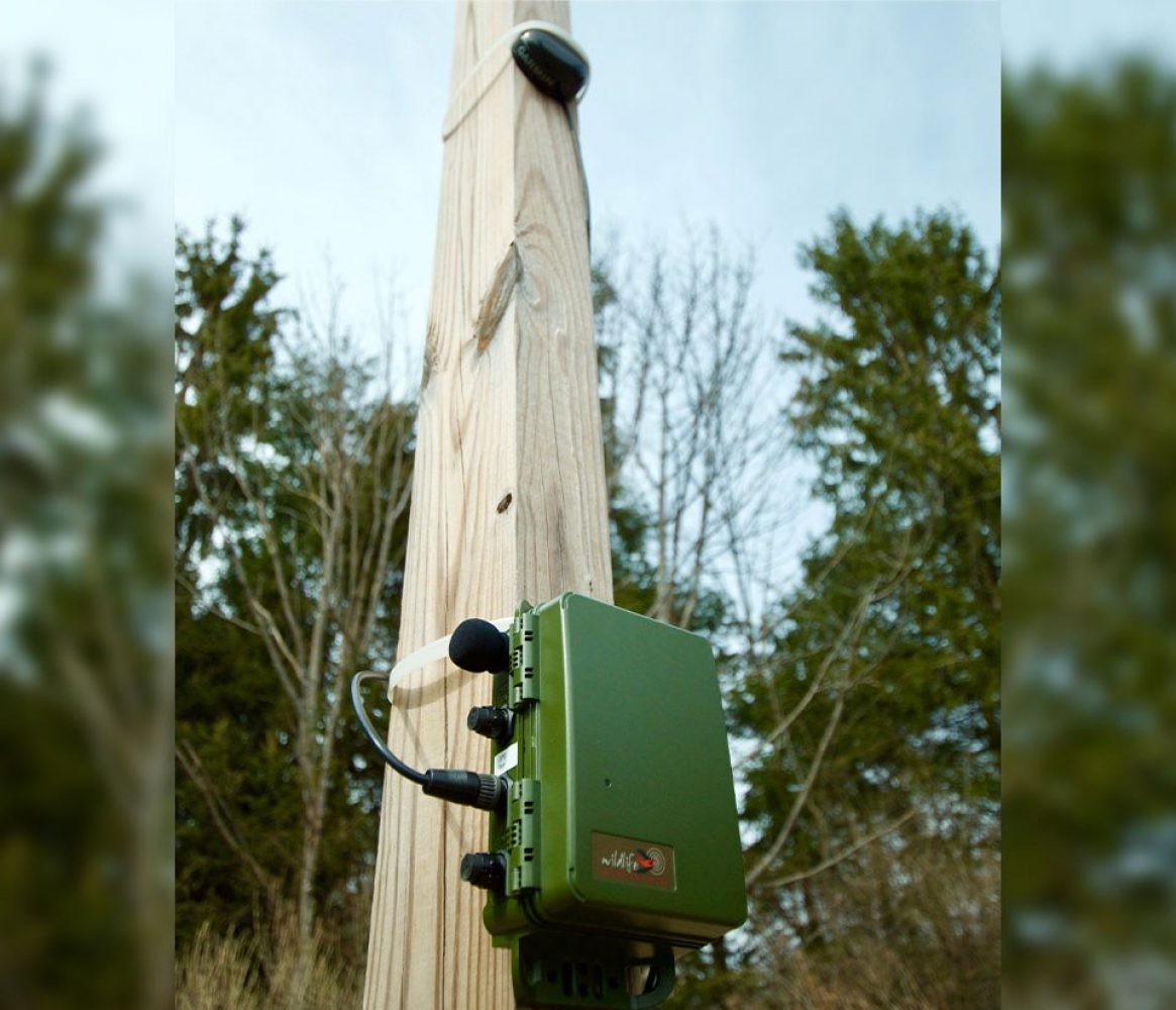 Song Meter SM4TS Package, mit GPS-Zeitsynchronisierung Akustik Recorder
