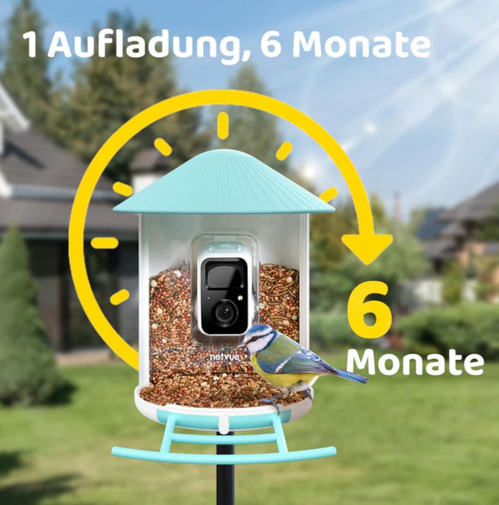 Birdfy Feeder mit integrierter Kamera u. moeglicher Dauer Akkuladung