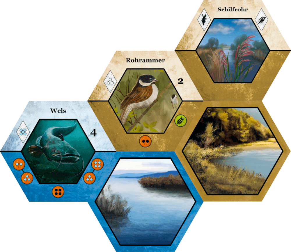 Gaiagames, Anwendungsbeispiel Ecogon - Stille Wasser - Spiel