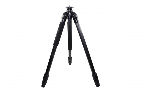 Kite - Ardea CF Kite - Ardea CF