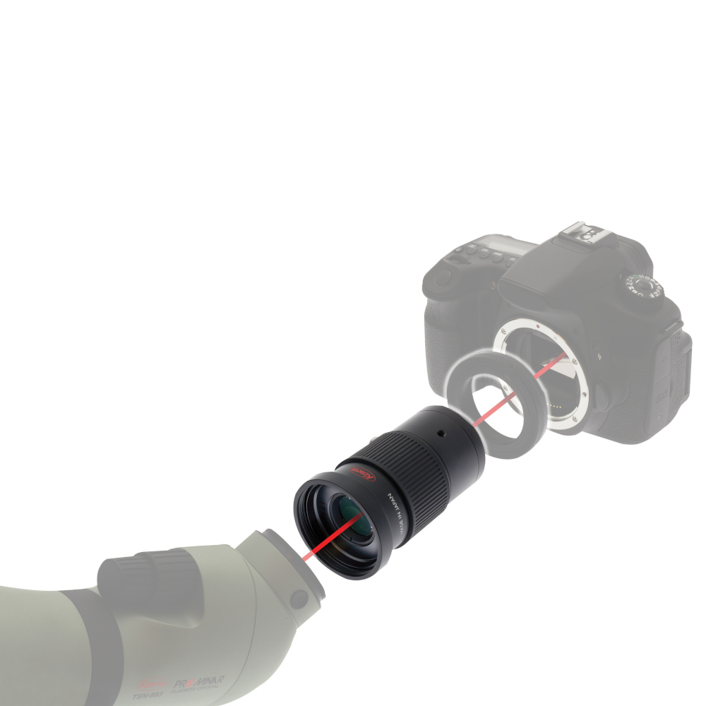 KOWA_Vario-Fotoadapter_DSLR_Montage Kowa Optimed Digiscoping-Objektiv für Spektive f= 680-1000mm für TSN-880/770