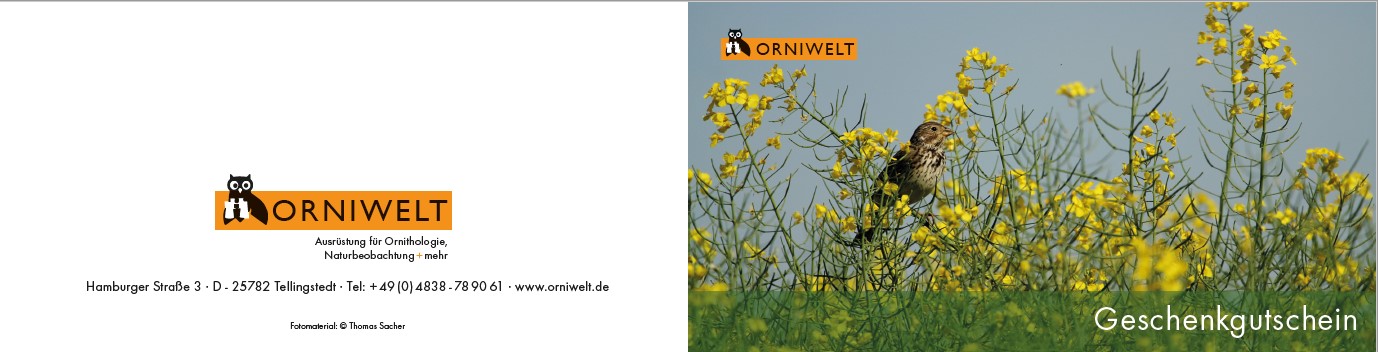 ORNIWELT Geschenkgutscheine Grauammer außen