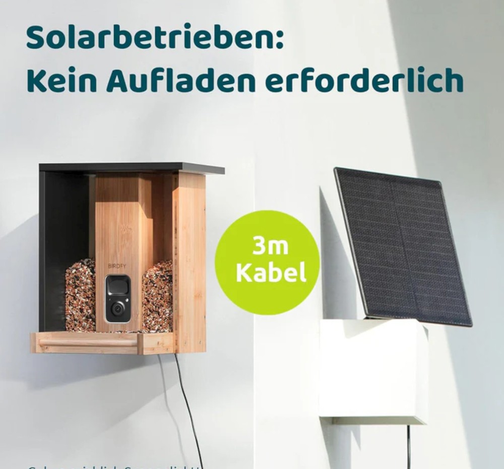 Bamboo Futterhaus mit Solarpanel, netzunabhängiges Laden
