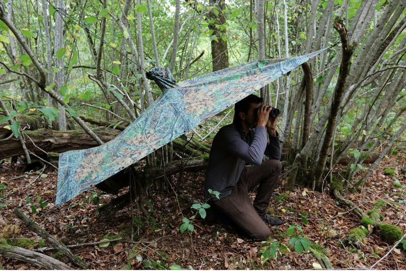Tragopan, Regenponcho gespannt als Unterschlupf