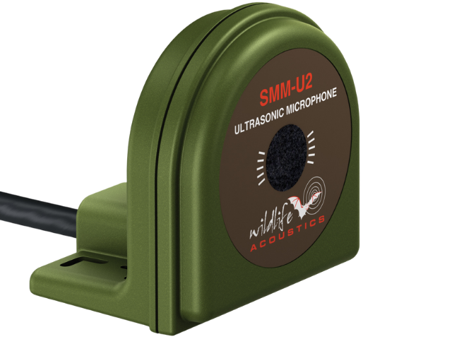 Wildlife Acoustics - SMM-U2 Mikrofon Ultrasonic für SM3BAT/SM4BAT/SMZC 5m Kabel