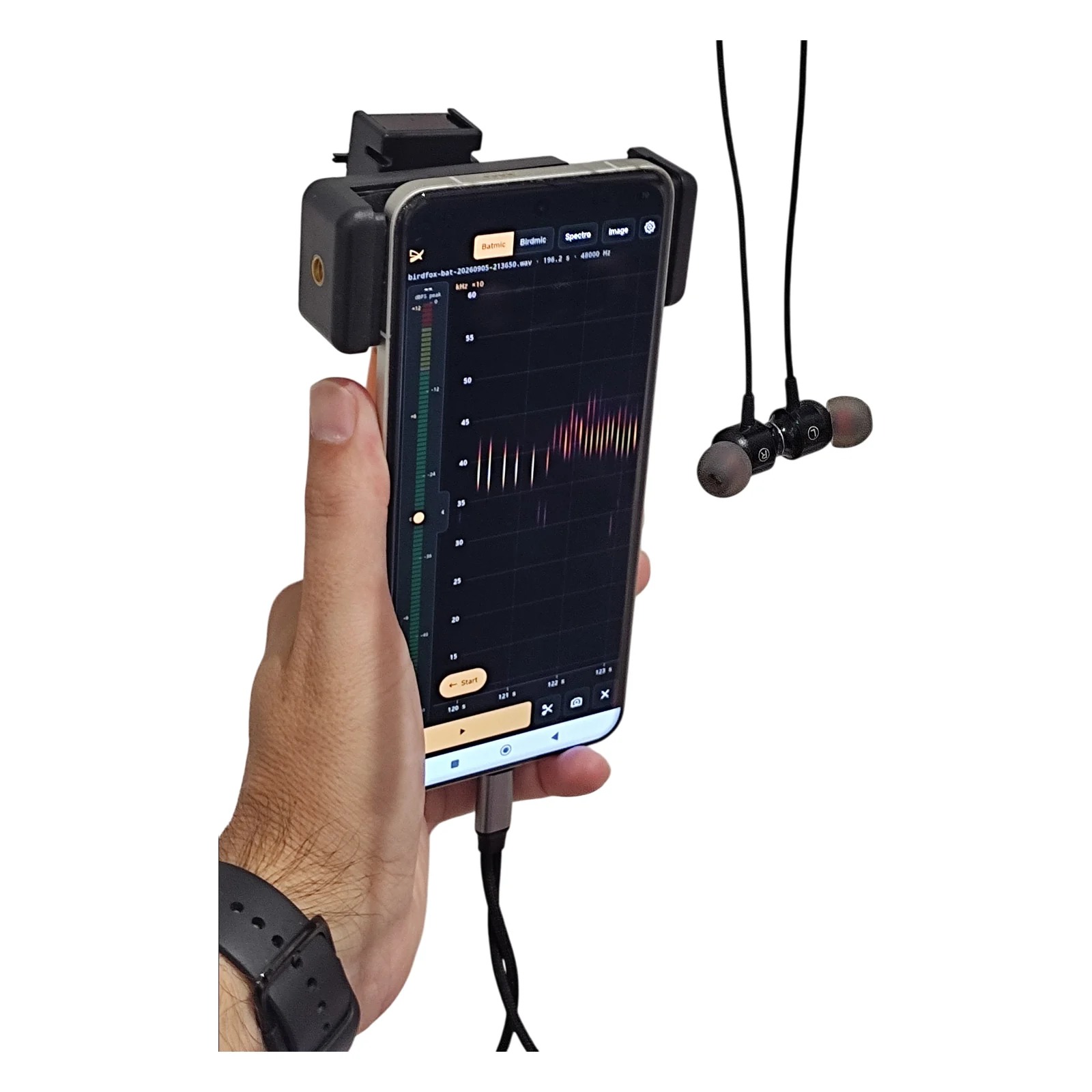 Batmic GO, Fledermausdetektor