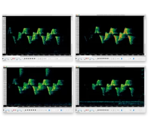 Kaleidoscope-Cluster-Analyse Wildlife Analysesoftware, Cluster-Analyse