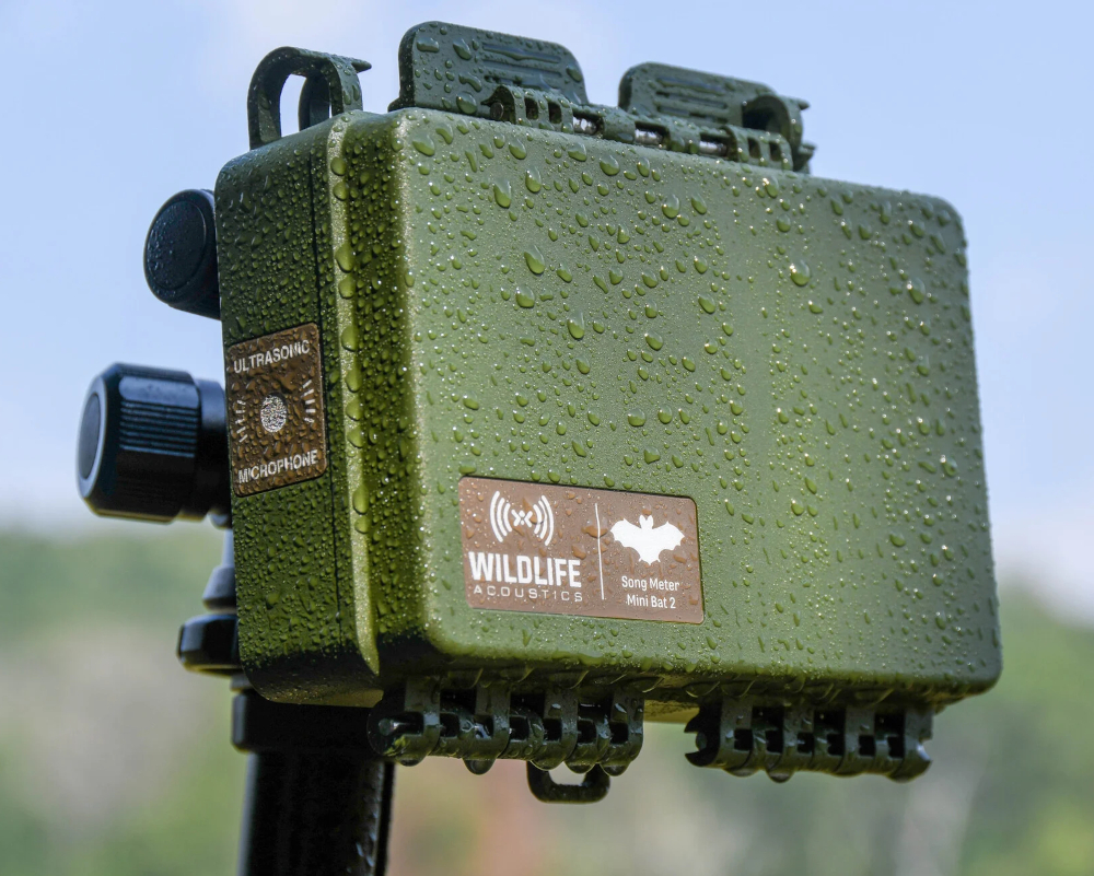 Wildlife Acoustics - Song Meter Mini Bat 2 Ultraschall Recorder, AA für Fledermäuse