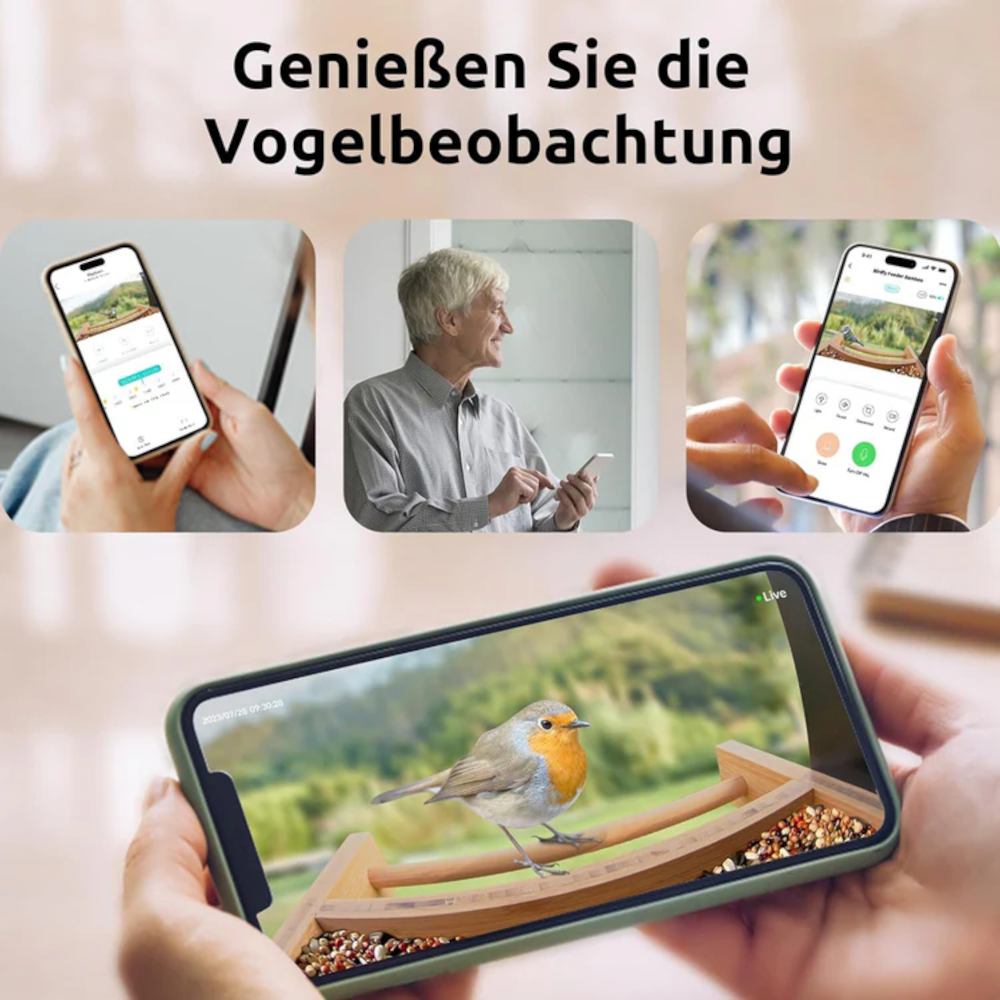 Beobachtungen am Bamboo Feeder mit Freunden teilen