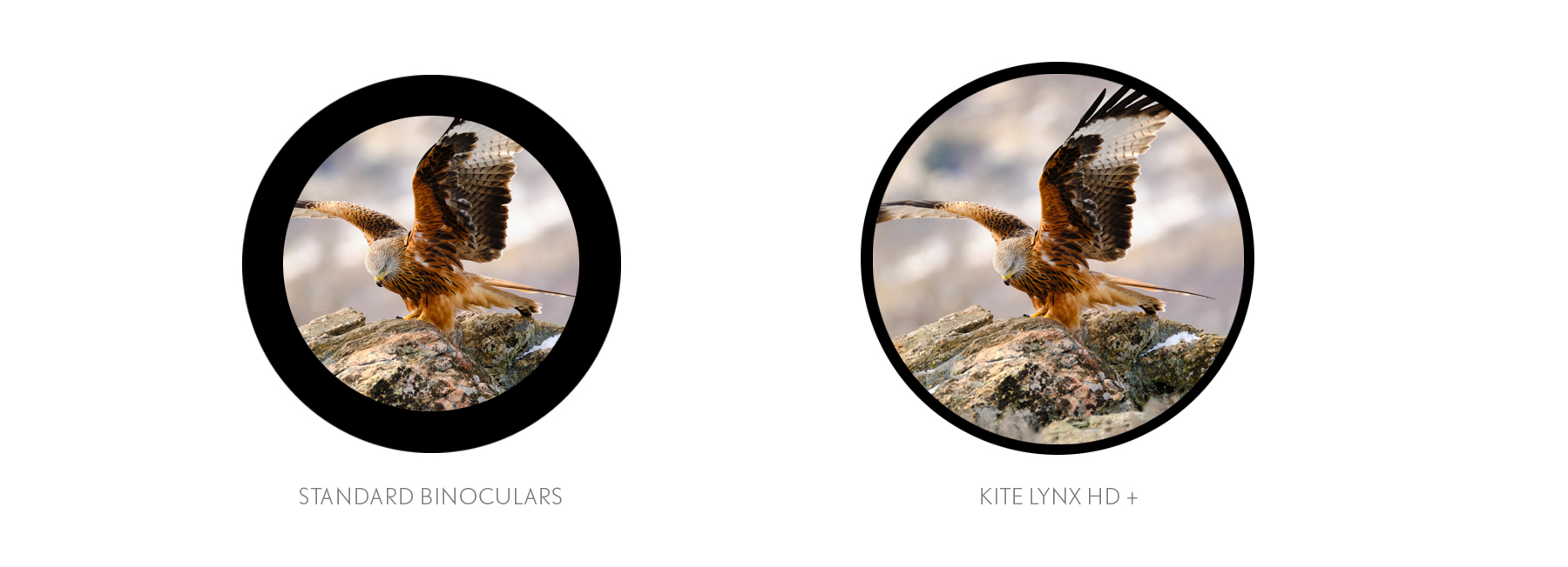 Kite-Lynx-HD-_das-Sehfeld Kite Lynx HD + das Sehfeld im Vergleich