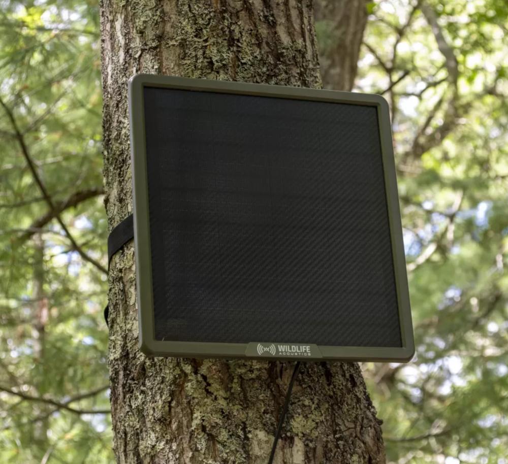 Wildlife Acoustics Solar-Panel - Outdoor