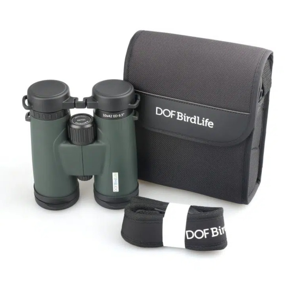 Birdlife Albatross 10x42 - Lieferumfang