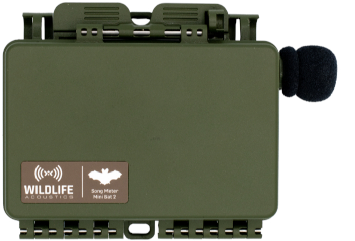 Song Meter Mini Bat 2 von Wildlife Acoustics, mit akustischem Microphone