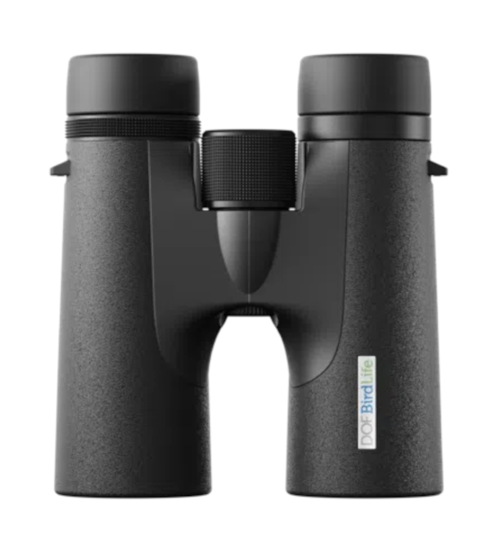 Birdlife Honey Buzzard 10x42 - stehend