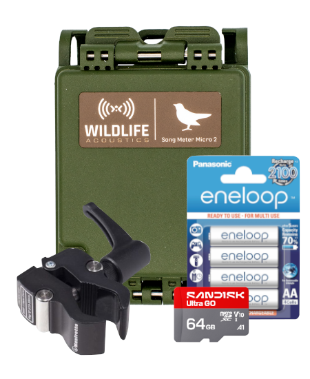 Wildlife Acoustics - Song Meter Micro 2, Soundaufnahmegerät für Vögel & Tierstimmen, im Paket mit Zubehör