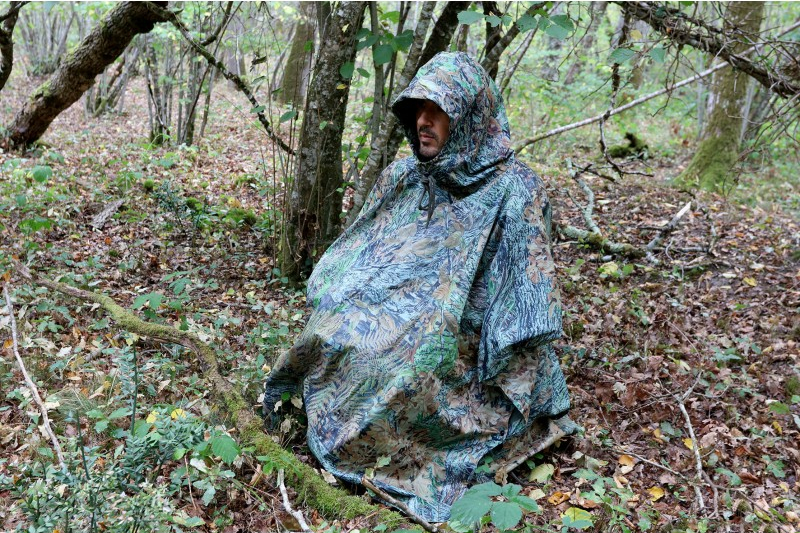 Tragopan, Regenponcho Anwendung, sitzend