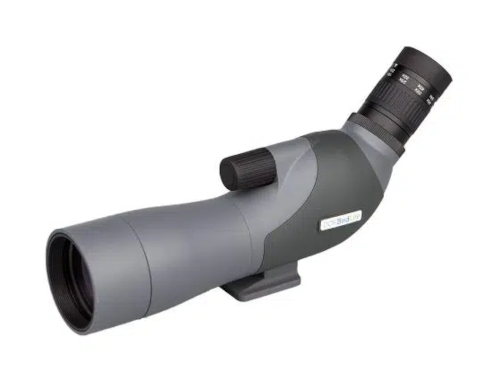 DOF BirdLife - Mallard 16-48x60