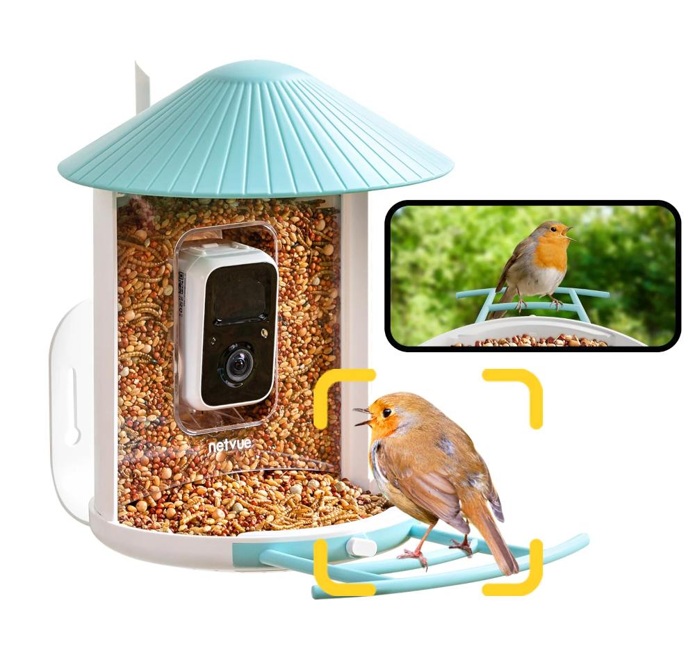 Feeder von Birdfy mit Erkennung u. Videoclip