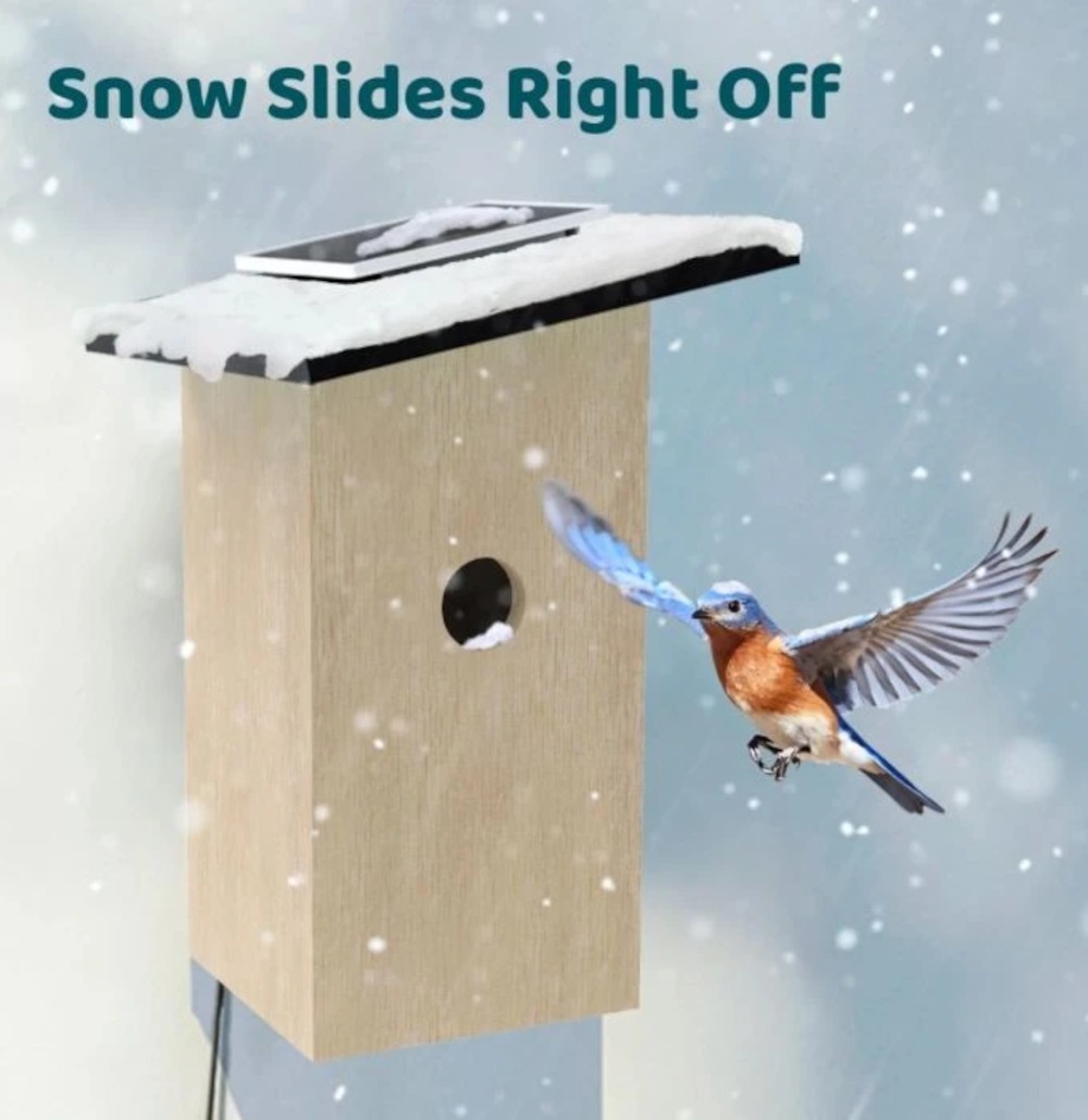 Birdfy Nestbox Ebony, Schnee gleitet einfach ab
