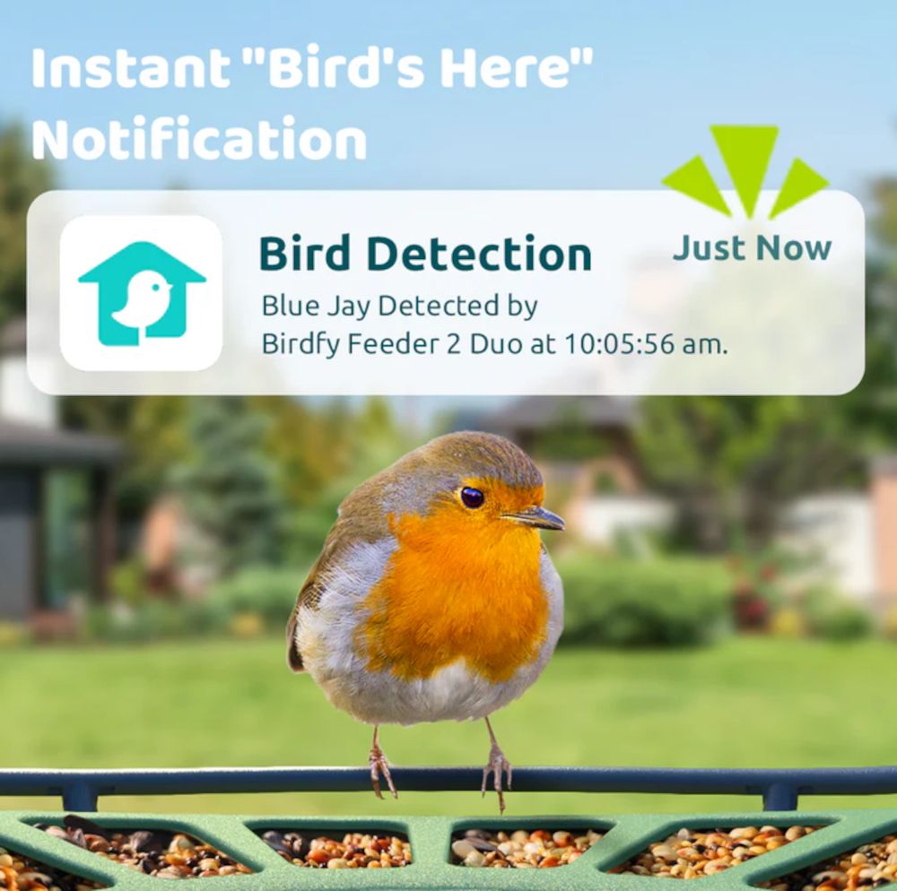 Birdfy Feeder 2 Duo mit Kamera, Sofortbenachrichtigung Bewegungsalarm am Futterhaus