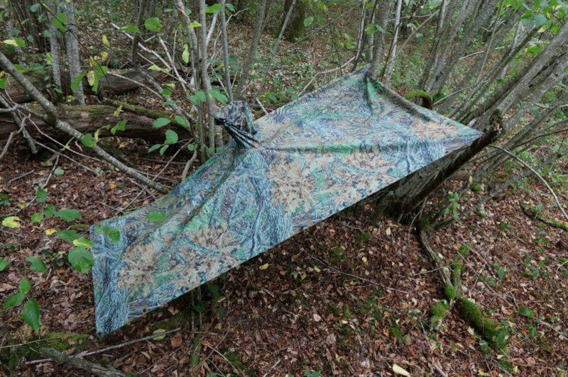 Tragopan, gespannter Regenponcho
