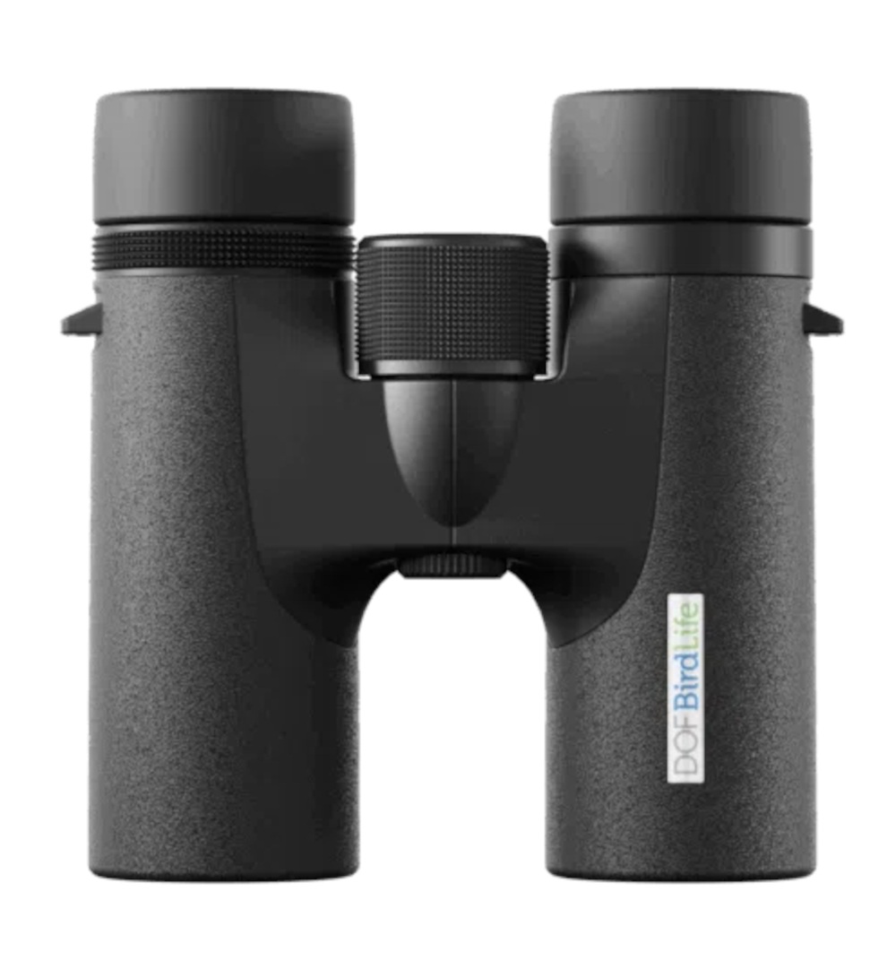 Birdlife Waxwing 10x32 - frontal