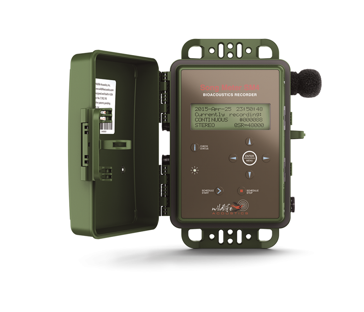 song-meter-sm4-lcd-displayKPLMJpsl49rj0 Wildlife Acoustics, SONG METER SM4TS, für Langzeiterfassung, geöffnet