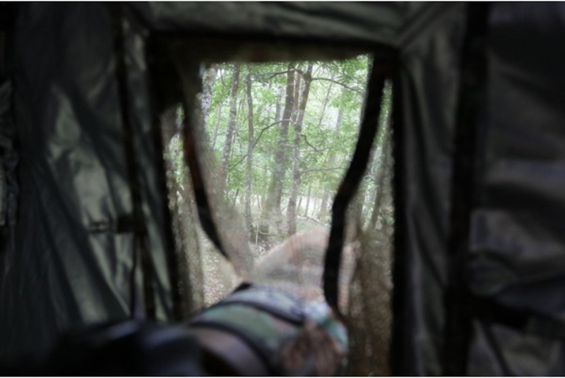obere-T-ur-offnung-Netz-2 TRAGOPAN, oberes Türöffnungsnetz