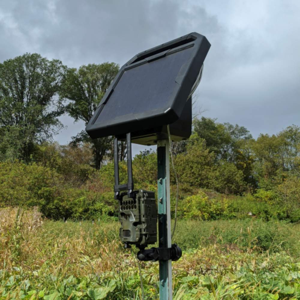 Reconyx Solar Charger 10 Watt Solar-Panel - Outdoor