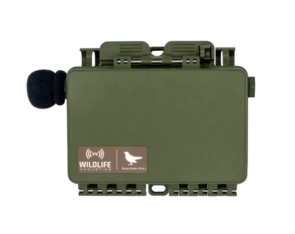 Wildlife Acoustics - Song Meter Mini 2 Akustik Recorder, Li-ION