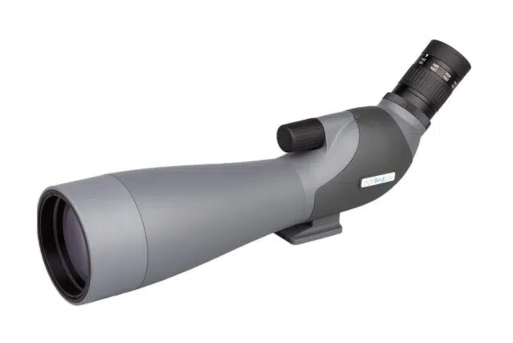 DOF BirdLife - Goose 22-66x80