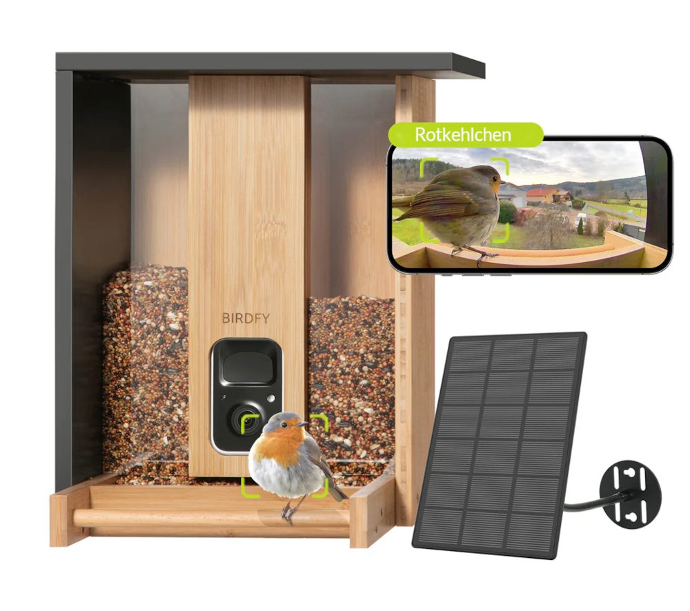 Bamboo Feeder, integrierte Kamera, Solarpanel, Artenbestimmung Rotkehlchen