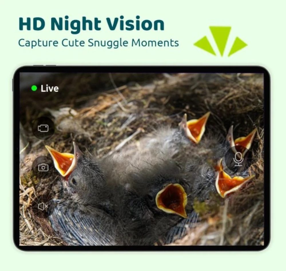HD-Nightversion im Birdfy Nestbox House Ebony