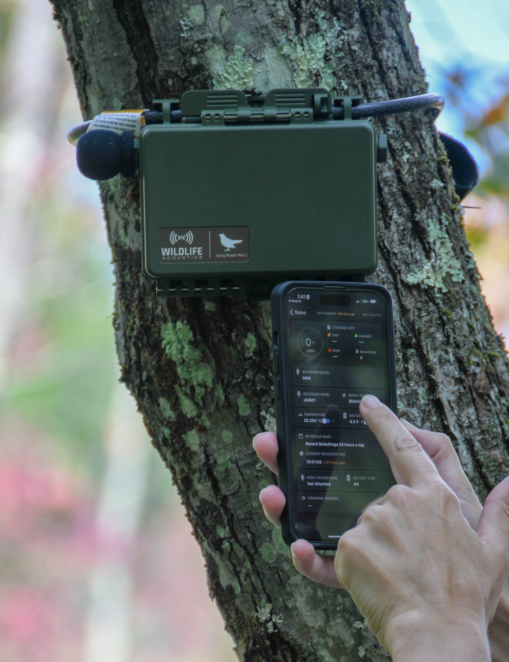 Anwendungsbeispiel Song Meter Mini 2 von Wildlife Acoustics