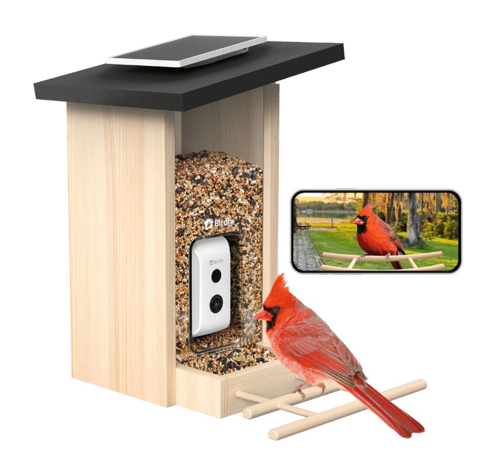 BirdFy - Feeder Ebony Lite, Futterhaus mit Kamera Bestimmungs KI: 7-Tage Testversion