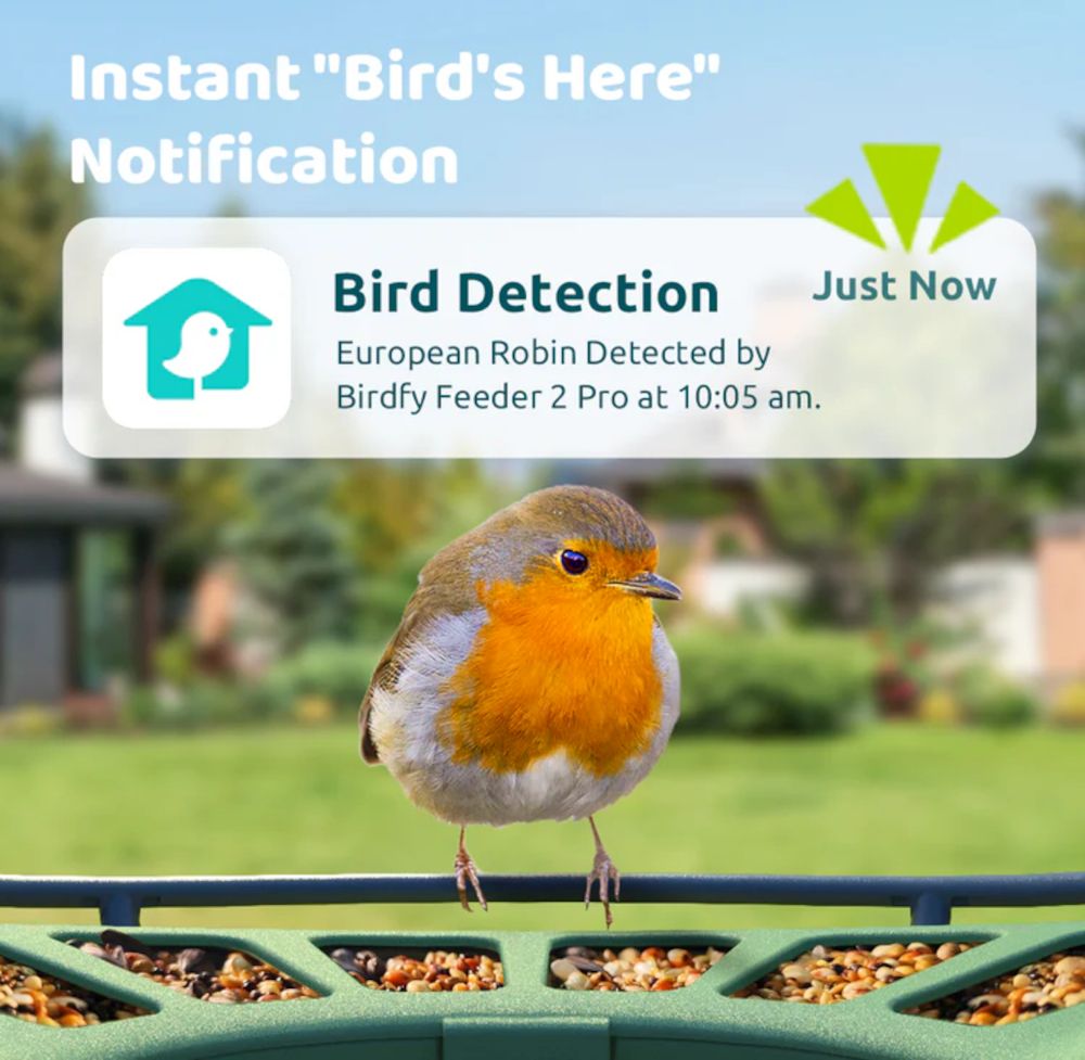 Birdfy Feeder 2 mit integrierter Kamera und sofortiger Bewegungsbenachrichtigung per App